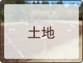 土地